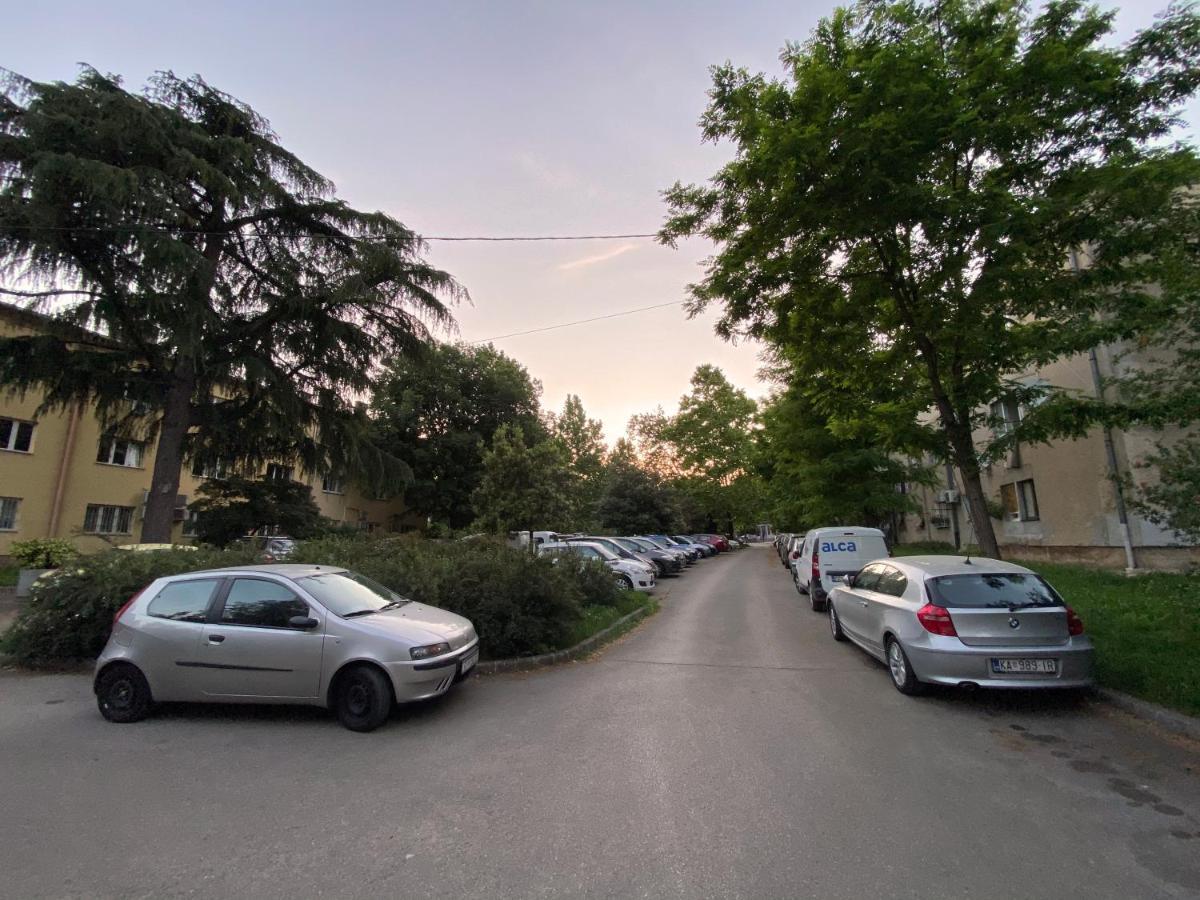 Bright Apartment 45M2 - Free Parking - Wifi Rijeka Exterior foto